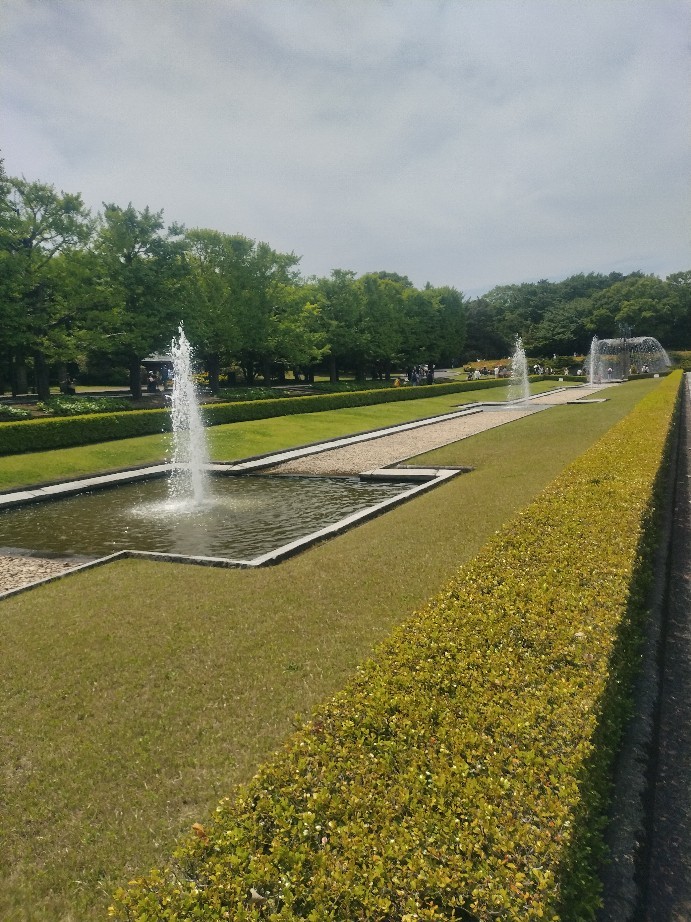 昭和記念公園をお散歩_e0109163_16414236.jpg