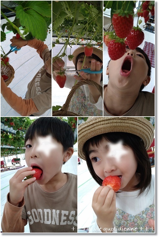 【GW 雨でも家族で楽しめる】いちごピクニック in 淡路島に行ってきました♪_a0348473_07262557.jpg