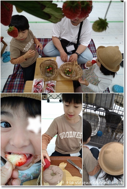 【GW 雨でも家族で楽しめる】いちごピクニック in 淡路島に行ってきました♪_a0348473_07275403.jpg