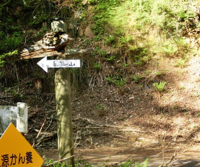 No576 カタクリ満開の鳥取・岡山県境の毛無山_b0185573_14542574.jpg