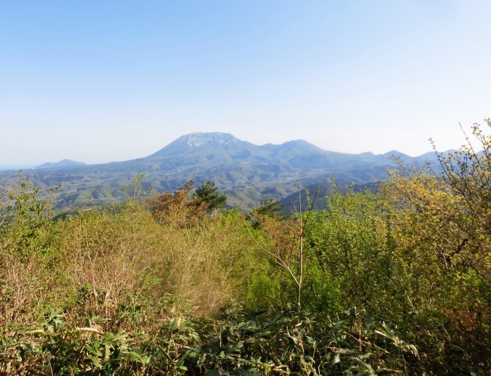 No576 カタクリ満開の鳥取・岡山県境の毛無山_b0185573_15210359.jpg