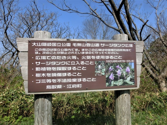 No576 カタクリ満開の鳥取・岡山県境の毛無山_b0185573_15345623.jpg