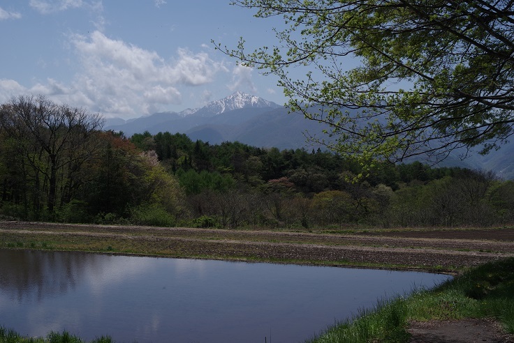 今日の富士見高原_f0163491_22535588.jpg
