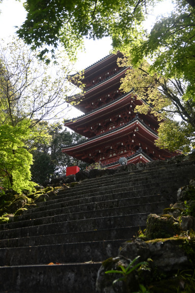  高知への旅　三日目_c0047919_17300334.jpg