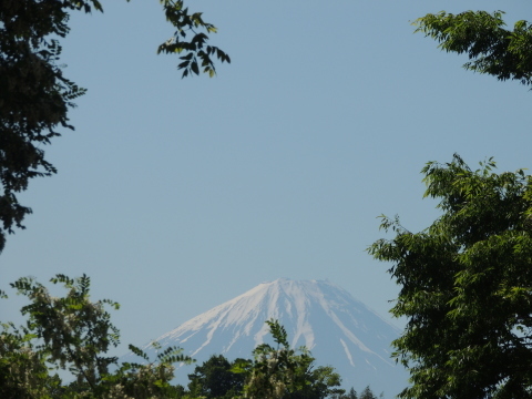 今日の富士山_f0013323_23321663.jpg
