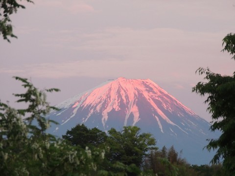 今日の富士山_f0013323_23322949.jpg