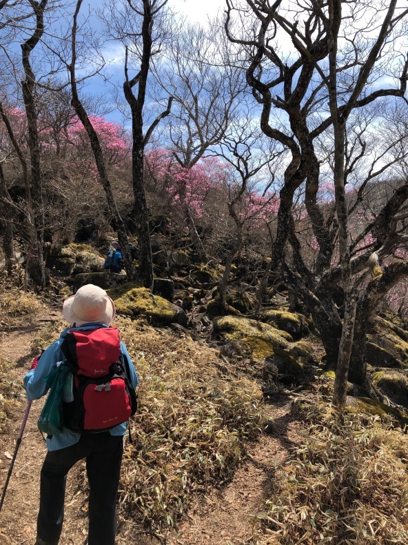 赤城【黒檜山・駒ヶ岳・篭山】日本百名山_a0129492_07593760.jpeg