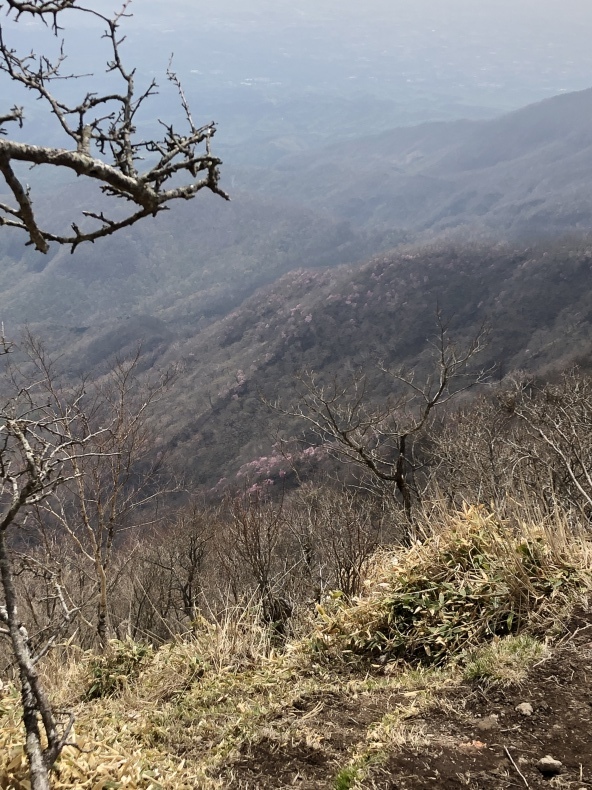 赤城【黒檜山・駒ヶ岳・篭山】日本百名山_a0129492_08363140.jpeg