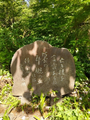 薫風の慈光寺_c0216213_06190233.jpg