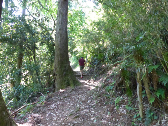 瀬上市民の森から金沢市民の森へハイキング_f0296312_22563695.jpg