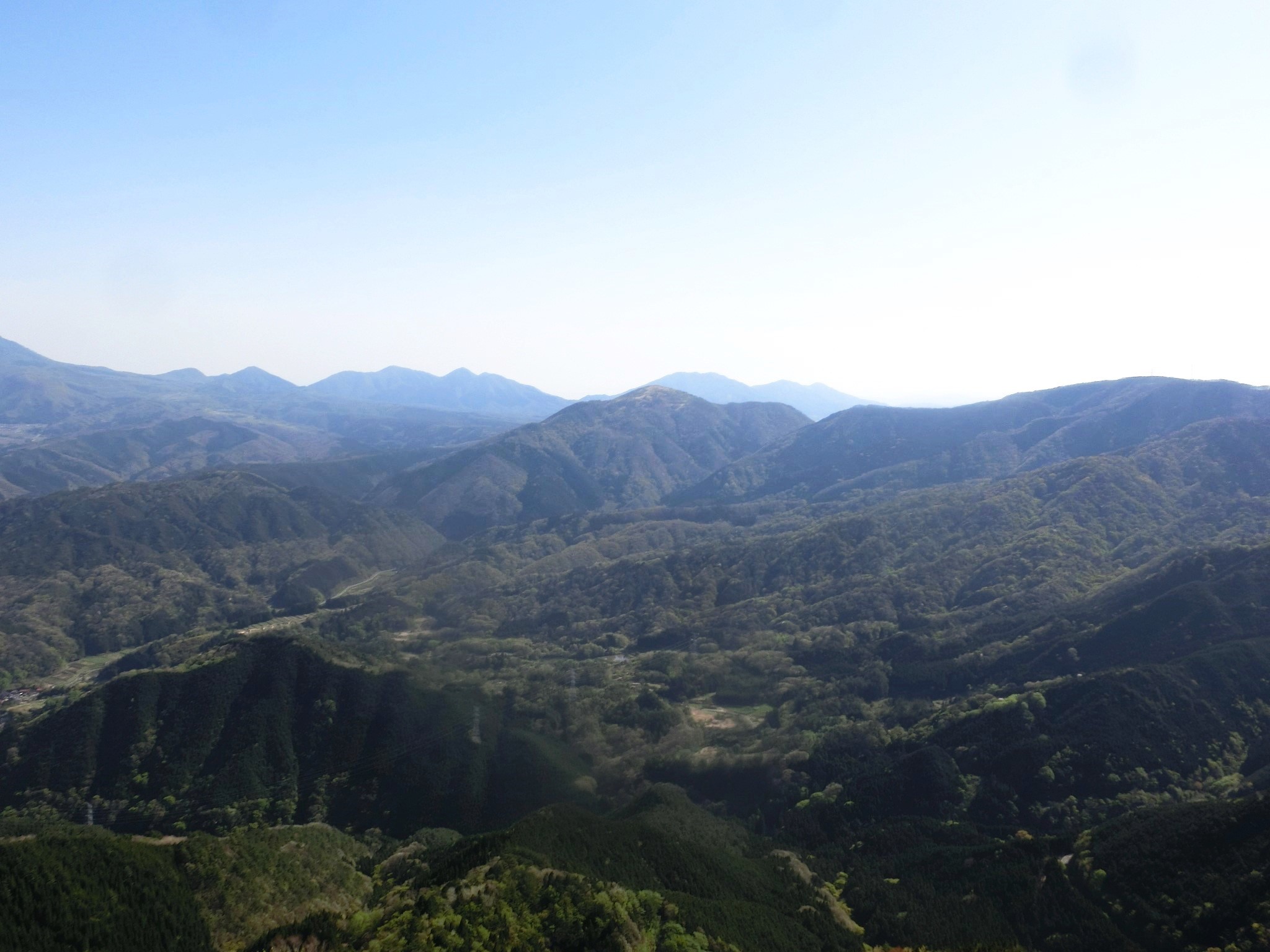 No576 カタクリ満開の鳥取・岡山県境の毛無山_b0185573_10542345.jpg