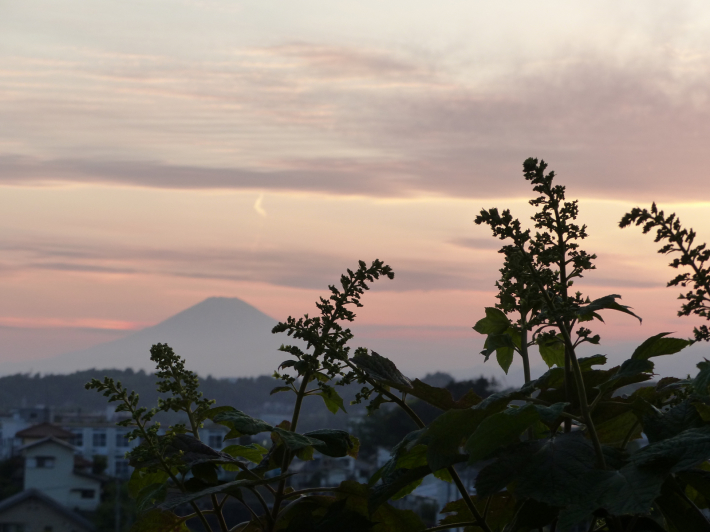 5月3日　夕方の富士山_f0296312_08180793.jpg