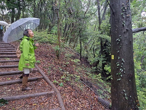 2023年５月８日　雨の散策、現地確認_b0186740_17103867.jpg