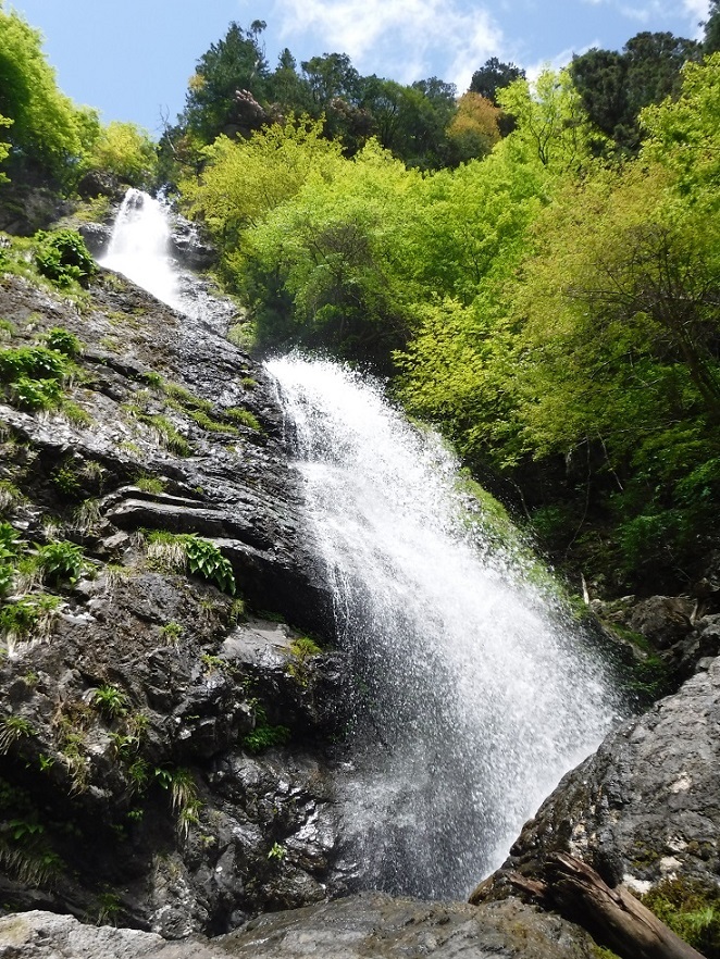 下多古川本谷（大峰・吉野川水系）_a0286351_13555450.jpg