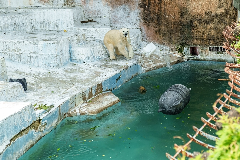 OmoのGW ～初日：一人で天王寺動物園へホウちゃんに会いに_f0189086_14285984.jpg