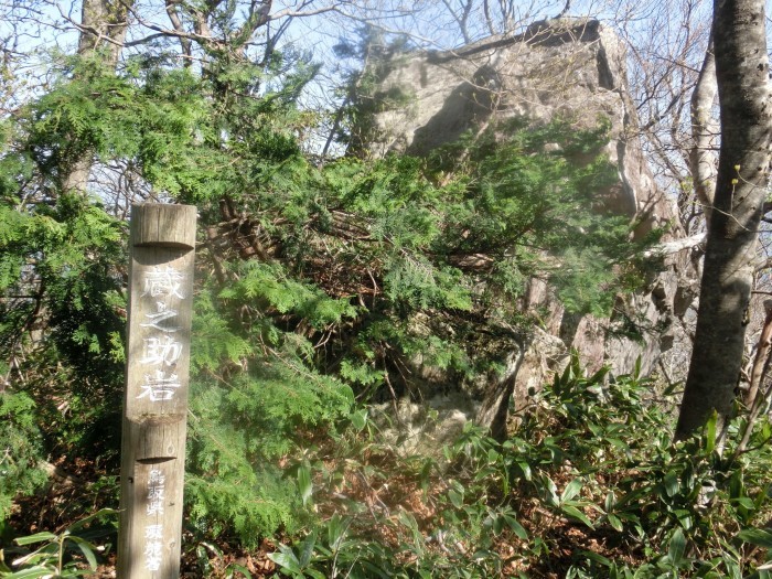 No576 カタクリ満開の鳥取・岡山県境の毛無山_b0185573_16573150.jpg
