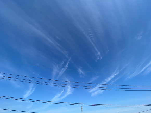 スッキリした雲模様❗️_f0141246_08142134.jpg