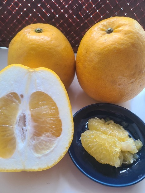 食品ロスを減らす❗柑橘の皮_c0124528_11452079.jpg