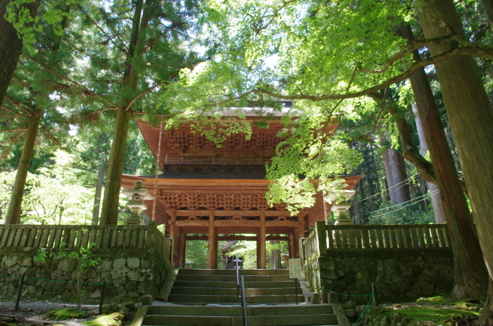 R80 光前寺_e0304156_18244645.jpg