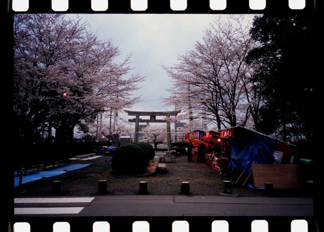 2006年の写真　夕暮れ近い護国神社　20230512_c0082800_21561968.jpg