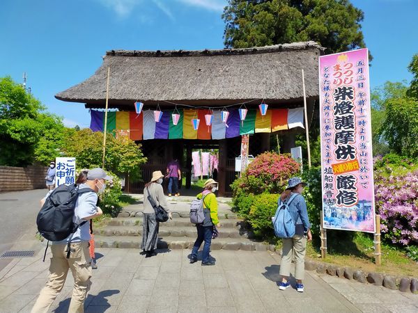 塩船観音寺の「つつじまつり」を楽しむ_c0361995_22095239.jpg