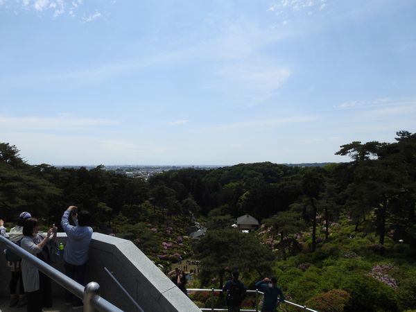 塩船観音寺の「つつじまつり」を楽しむ_c0361995_22362787.jpg