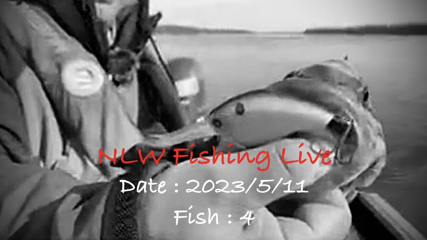 NLW Fishing Live - ひたすらチッパワXDD（2023/5/11)_d0145899_01471702.jpeg