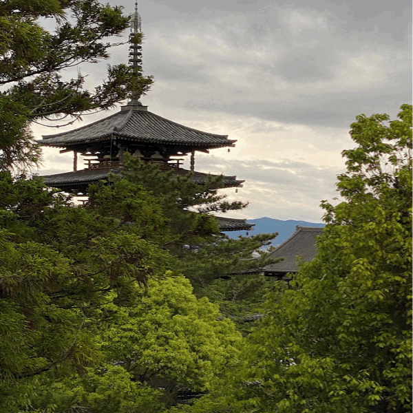 飛鳥の法隆寺、日本最古の木造建築。_b0014003_18230584.gif