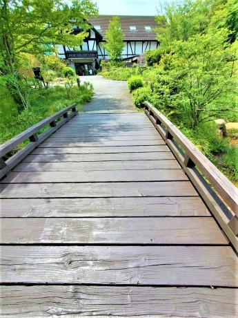 森林浴を楽しみながら異空間をのぞいてみましょう！「六甲山　ブナの道・高山植物園」_c0218841_11395258.jpg