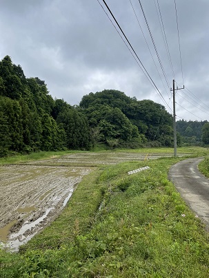 田植え無事完了（202305）_b0310922_06083122.jpg