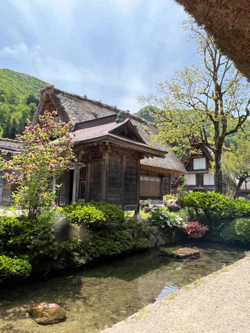 飛騨高山女子旅②　～白川郷⇒飛騨古川⇒名古屋～_c0188784_18334146.jpg