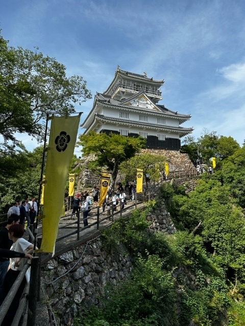 金華山、岐阜城に登りました_a0152501_14590507.jpeg