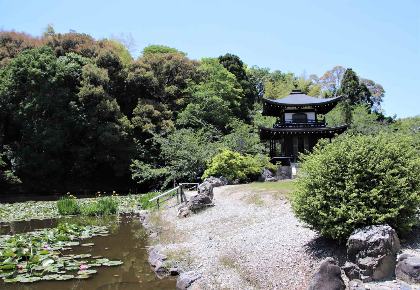 勸修寺　庭園拝観_e0048413_20160320.jpg