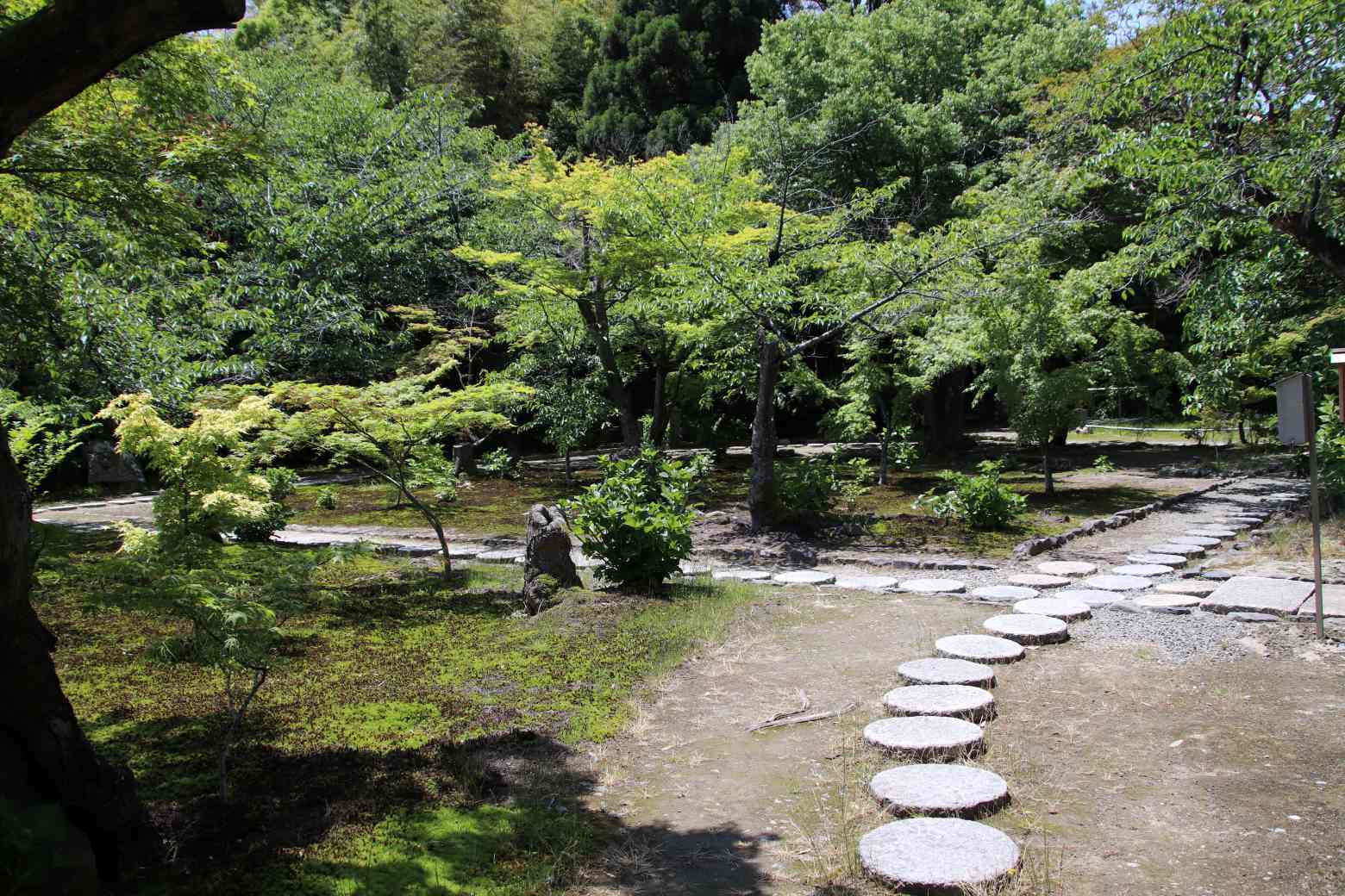 勸修寺　庭園拝観_e0048413_20161406.jpg