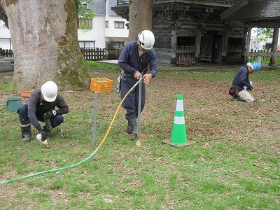 大けやき土壌改良作業_b0092684_14153846.jpg