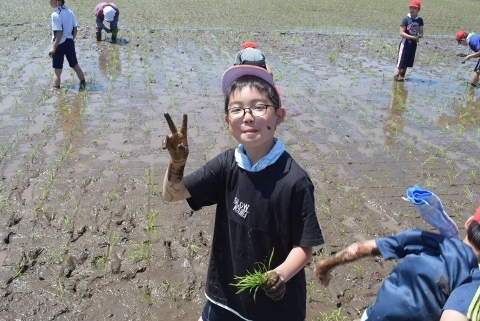 5年小和森っ子田植え体験_c0403907_15525322.jpg