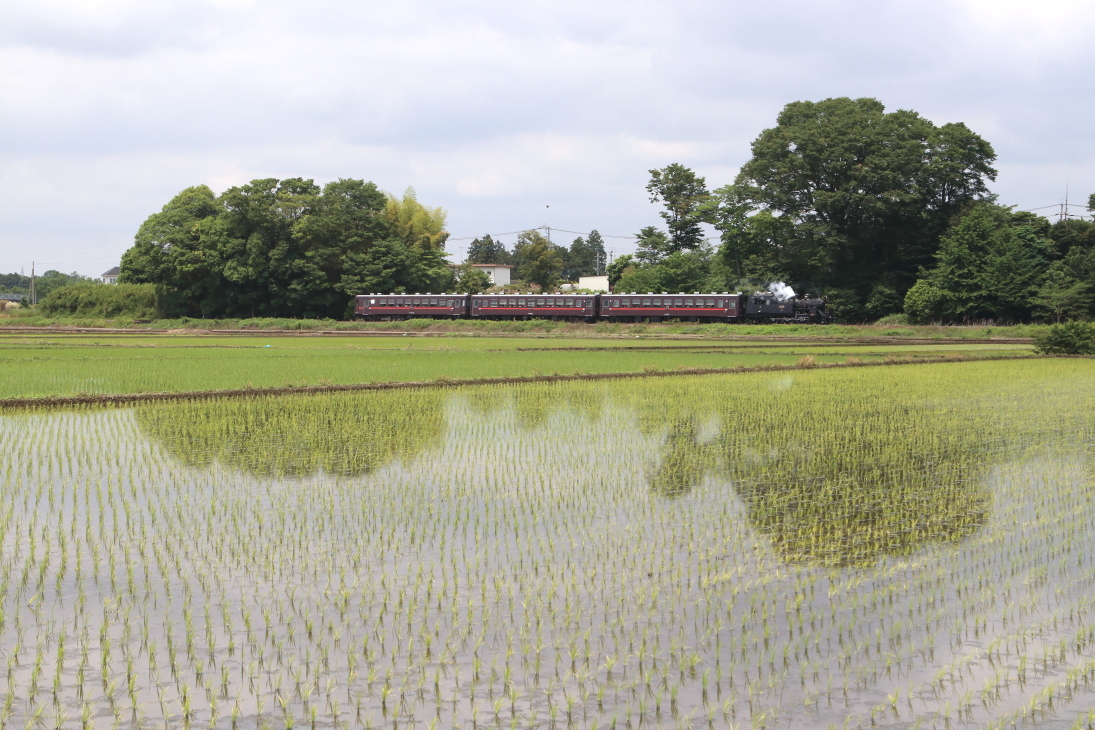 田植えの終わった田んぼに汽笛が響く　- 2023年春・真岡鉄道 -_b0190710_07135643.jpg