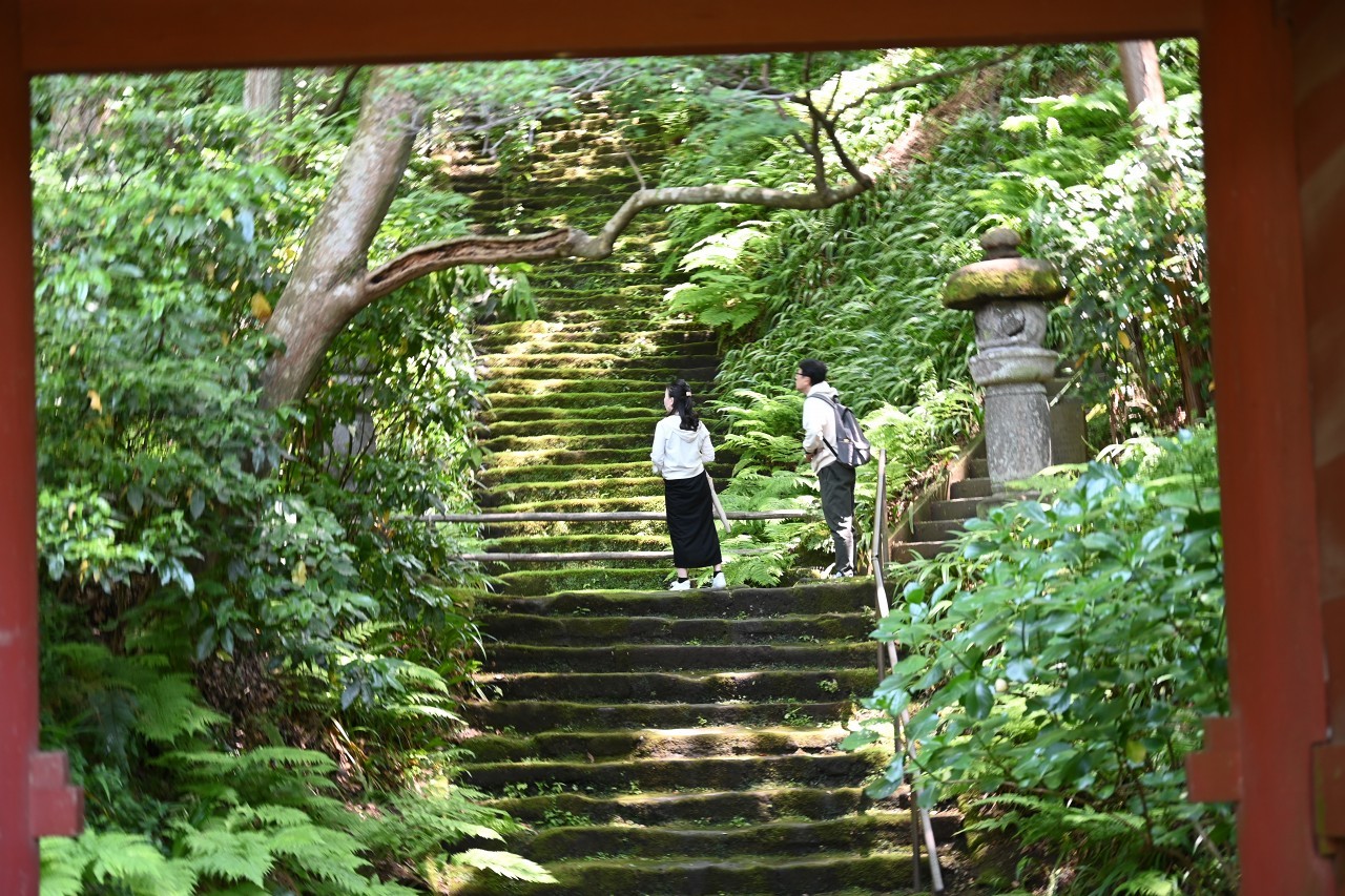 美しい緑の世界へ　妙法寺_d0065116_20043930.jpg