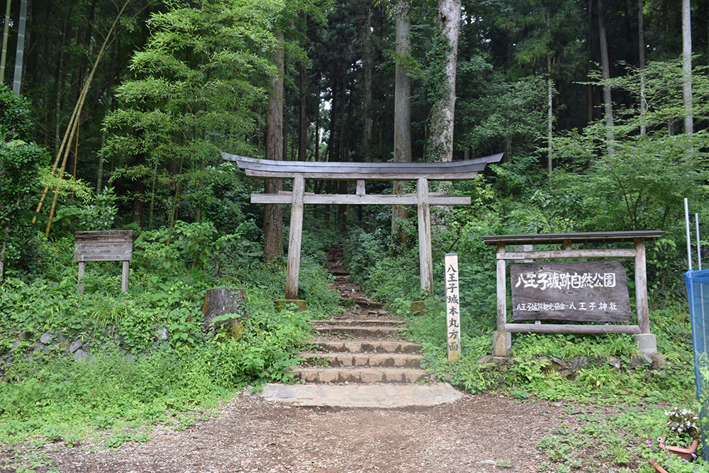 八王子城攻城記。　その1　＜登山口～金子丸～柵門跡＞_e0158128_21480824.jpg