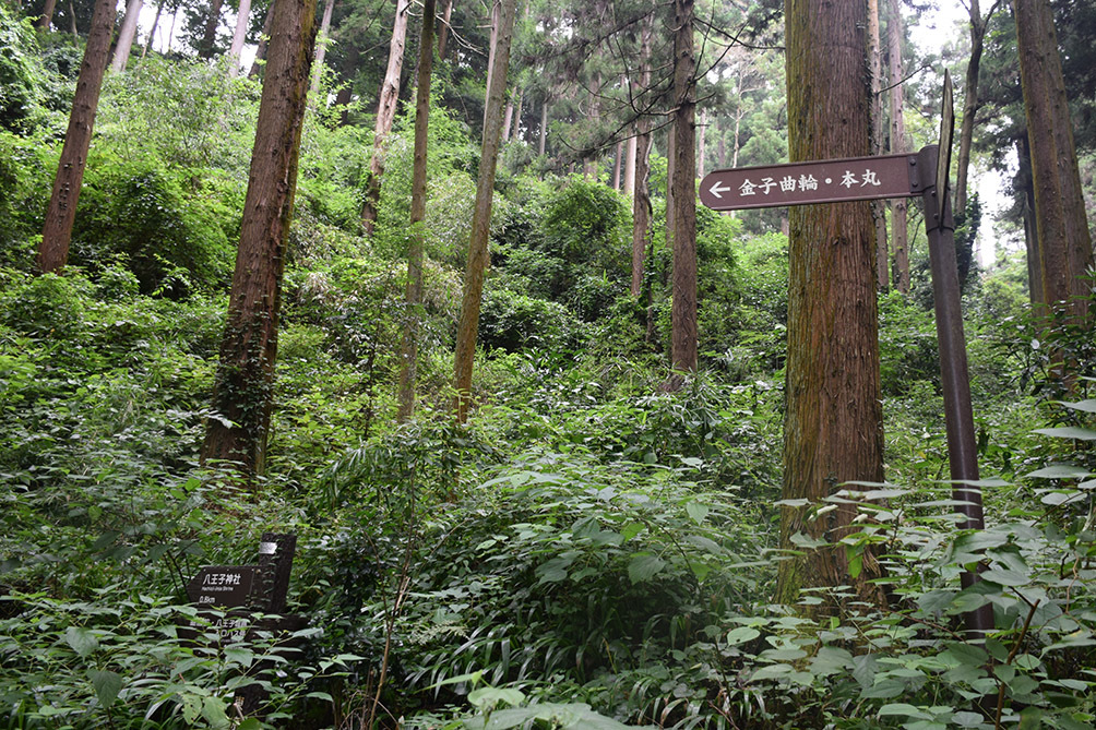 八王子城攻城記。　その1　＜登山口～金子丸～柵門跡＞_e0158128_21575115.jpg