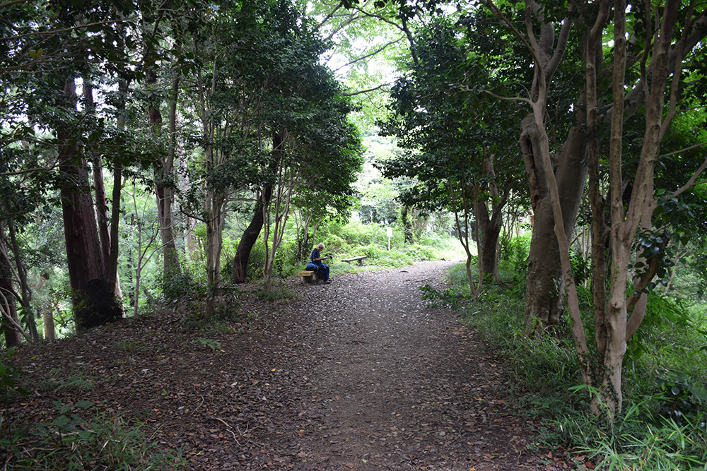 八王子城攻城記。　その1　＜登山口～金子丸～柵門跡＞_e0158128_22144219.jpg