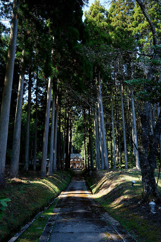 2023年京都府の桜巡り　＠京北町　東光寺＆玉林寺_f0032011_18221410.jpg