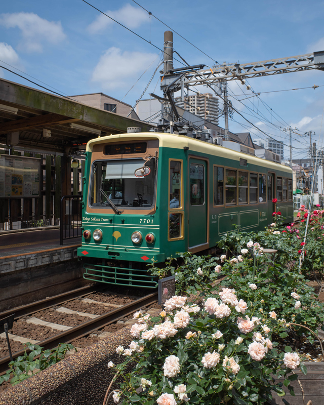 東京さくらトラム_a0396348_14354453.jpg