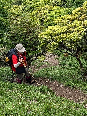 子岳・女岳・男岳・ツームシ山_f0193521_21343483.jpg