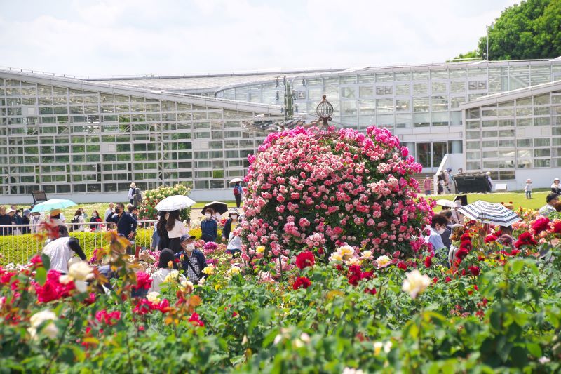 164. 神代植物公園_e0405185_18095454.jpg