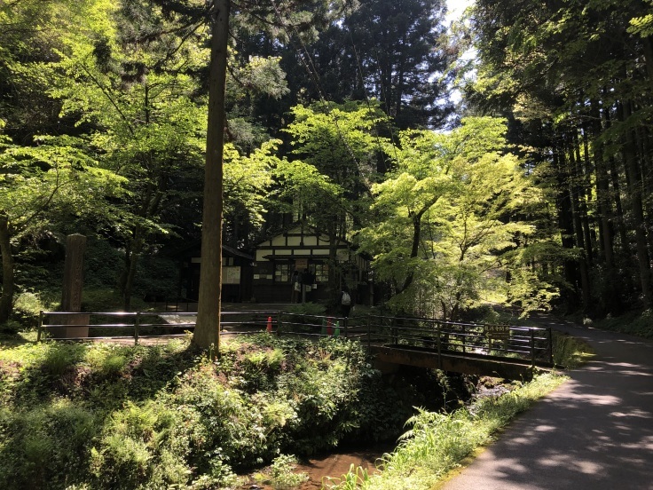 山陽山陰の旅 ３日目 ＜島根：石見銀山、大森＞ 前編_a0376293_16440958.jpg