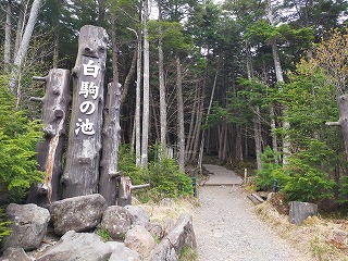 八ヶ岳ツアー☆2023年5月　①_c0200917_23281992.jpg