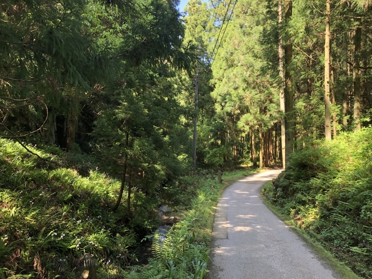 山陽山陰の旅 ３日目 ＜島根：石見銀山、大森＞ 前編_a0376293_21332249.jpg