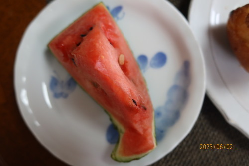 朝：煮込み目玉焼き、トースト、酢きゅうり、&#127817;、野菜ジュース、スープ　昼：野菜チラシ、イワシ焼、ラジュウム卵　夕：城史苑のオードブル＆サンドウィッチ_c0075701_19214609.jpg