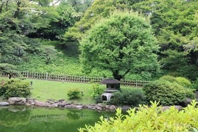 日本庭園_e0399307_16014830.jpg